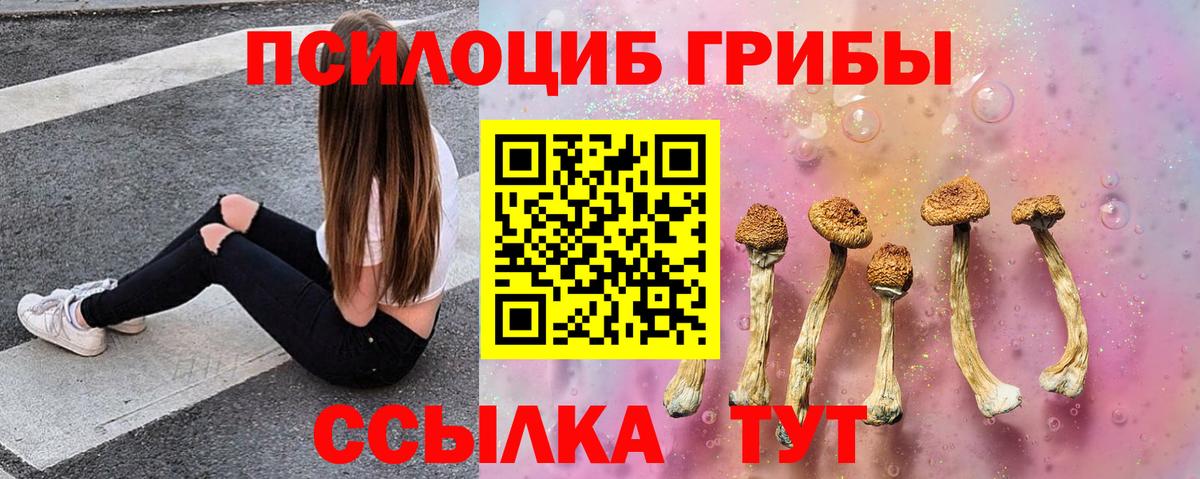 Галлюциногенные грибы Psilocybe  Галлюциногенные грибы прущие грибы  Вход с VPN  Избербаш 